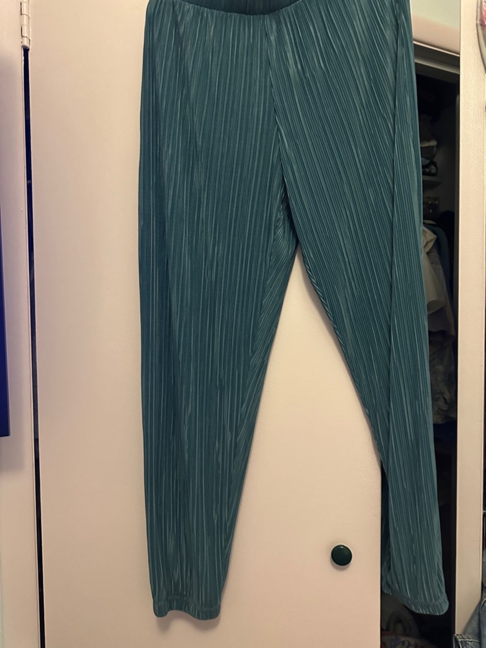 Teal Pleated Wide-Leg Pants